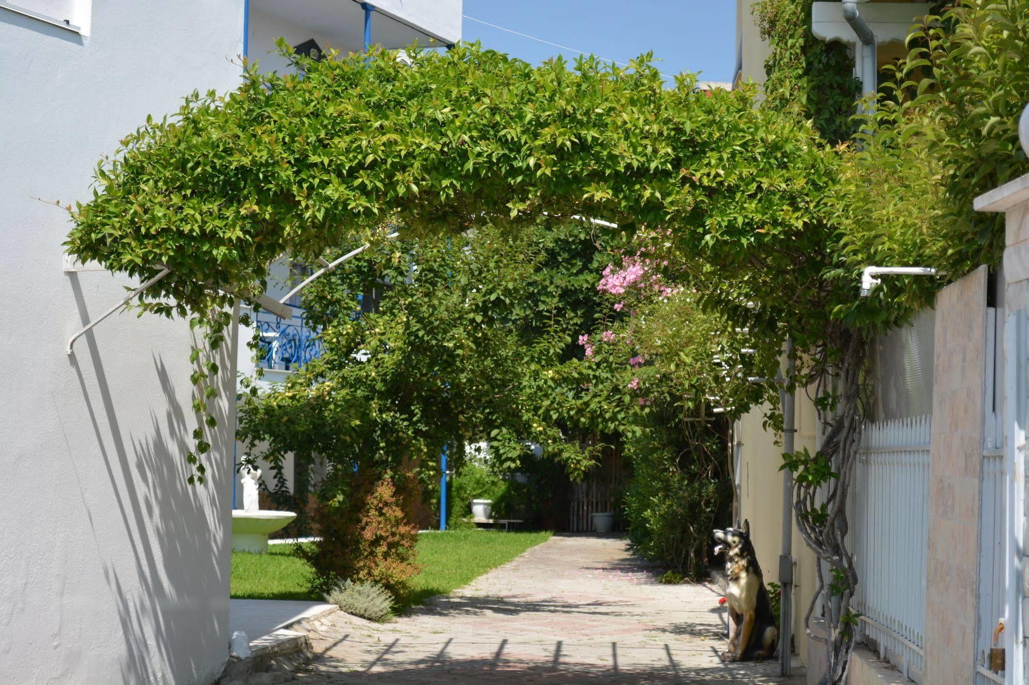 Victor Eleni Hotel Ханиоти Экстерьер фото